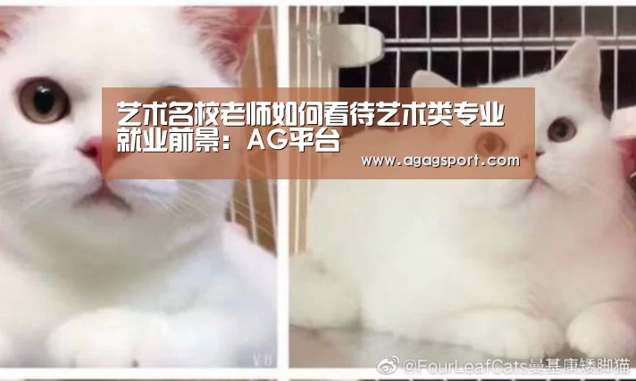 艺术名校老师如何看待艺术类专业就业前景:AG平台(图1) AG官网