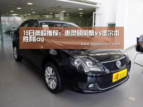 15日澳超推荐:惠灵顿凤凰vs墨尔本胜利|ag(图3) AG真人