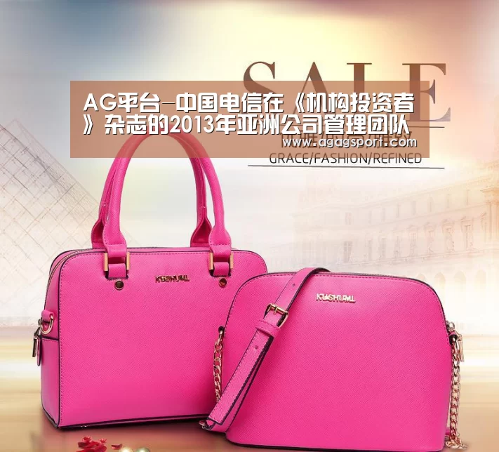 AG平台-中国电信在《机构投资者》杂志的2013年亚洲公司管理团队排名中居首(图2)