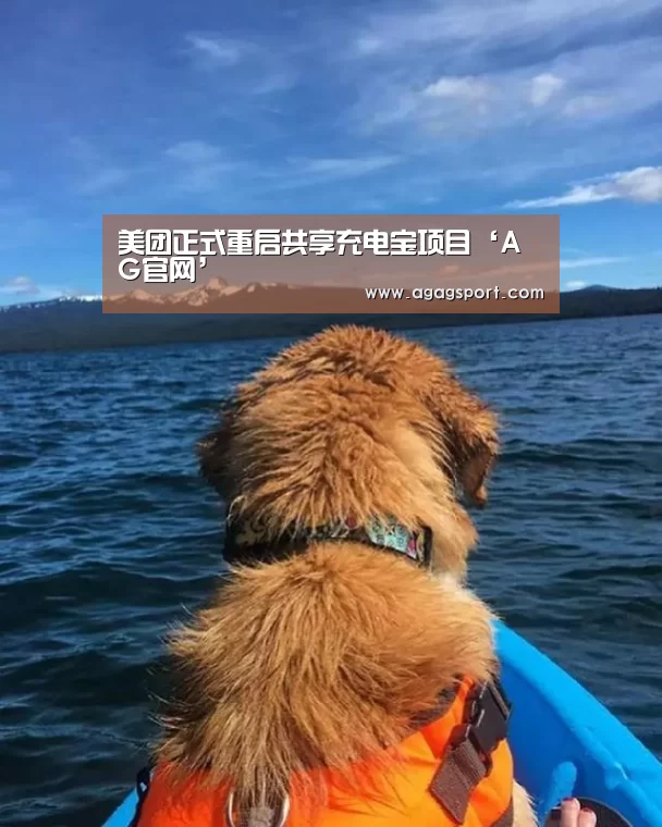 AG官网